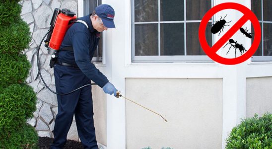 Mithatpaşa Hamam Böceği İlaçlama böcek ilaçlama ve haşere kontrolü — ilaclama-tr.com